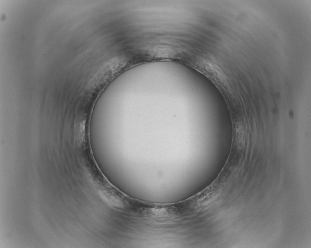 X0000089420406200706291038