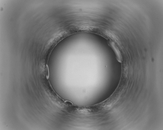 X0000089420407200706291038