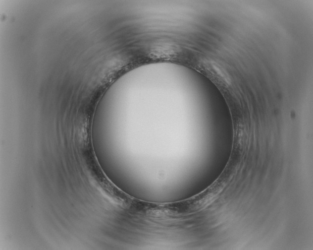 X0000089420408200706291038