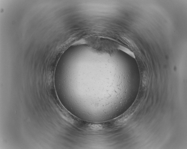 X0000089420409200706291038