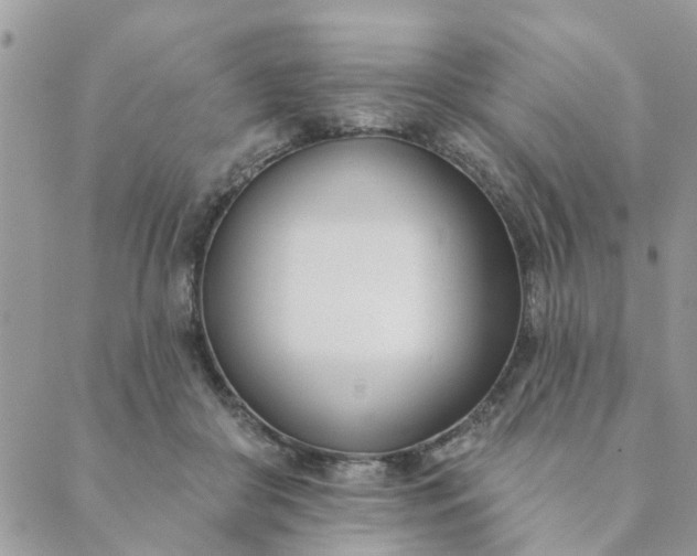 X0000089420410200706291038