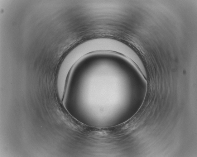 X0000089420411200706291038