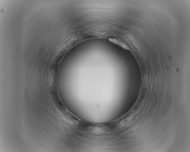 X0000089420412200706291038