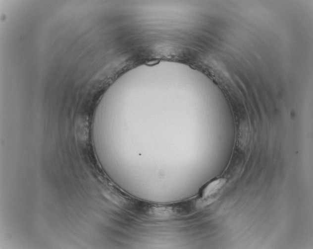 X0000089420413200706291038