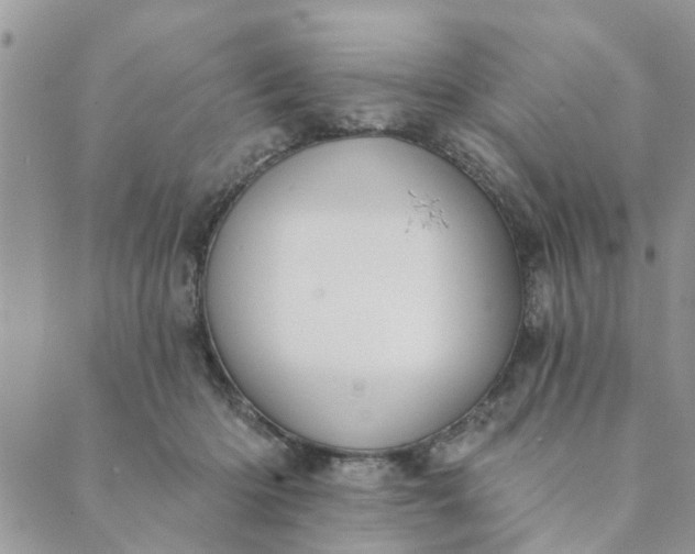 X0000089420414200706291038