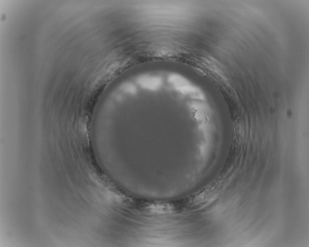 X0000089420415200706291038