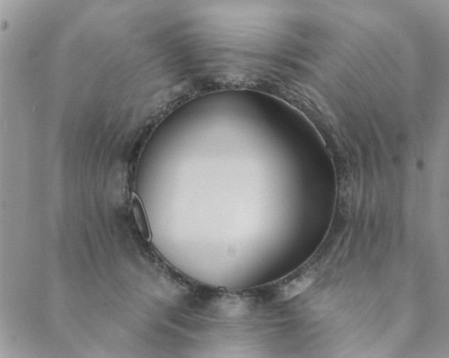 X0000089420416200706291038