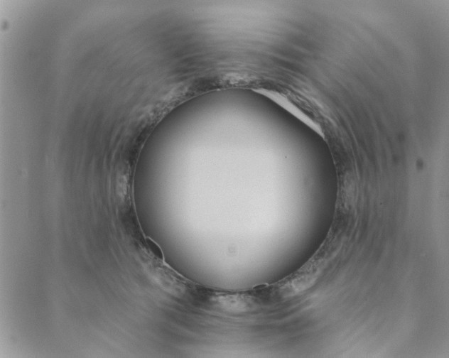 X0000089420417200706291038