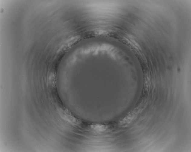 X0000089420419200706291038