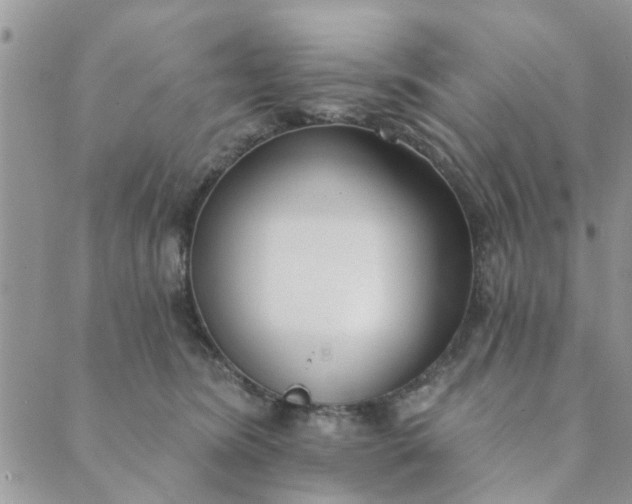 X0000089420420200706291038