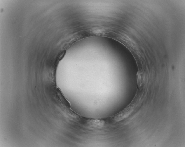 X0000089420421200706291037