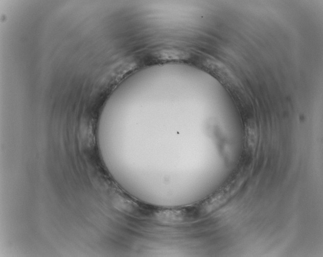 X0000089420422200706291037