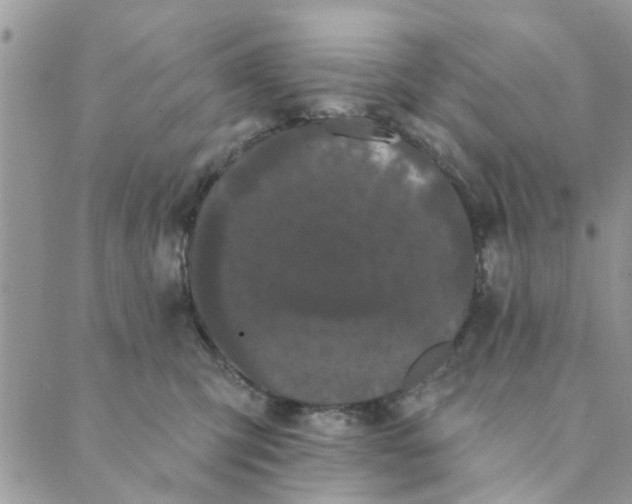 X0000089420423200706291037