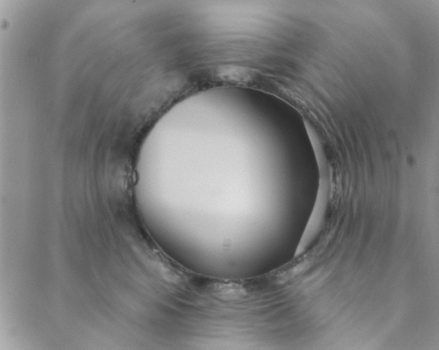 X0000089420424200706291037