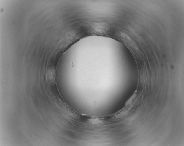 X0000089420425200706291037