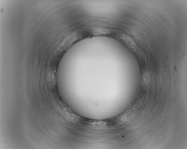 X0000089420426200706291037