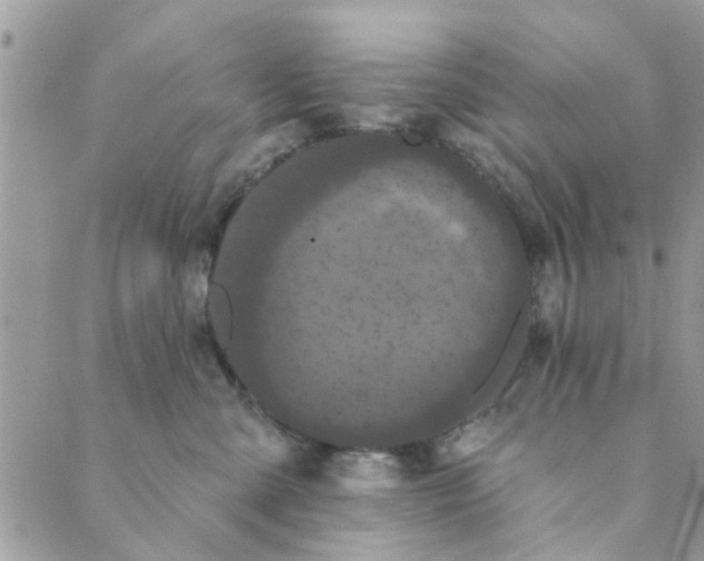 X0000089420427200706291037