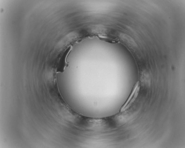 X0000089420428200706291037