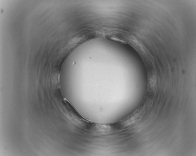 X0000089420429200706291037