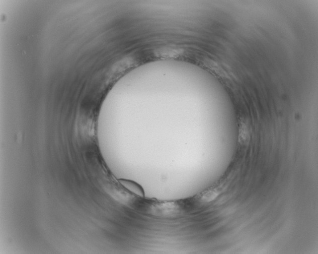 X0000089420431200706291037