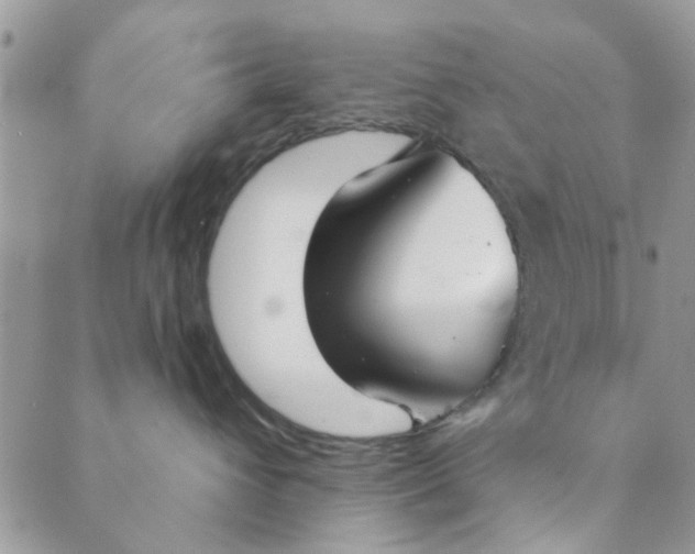 X0000089420432200706291037