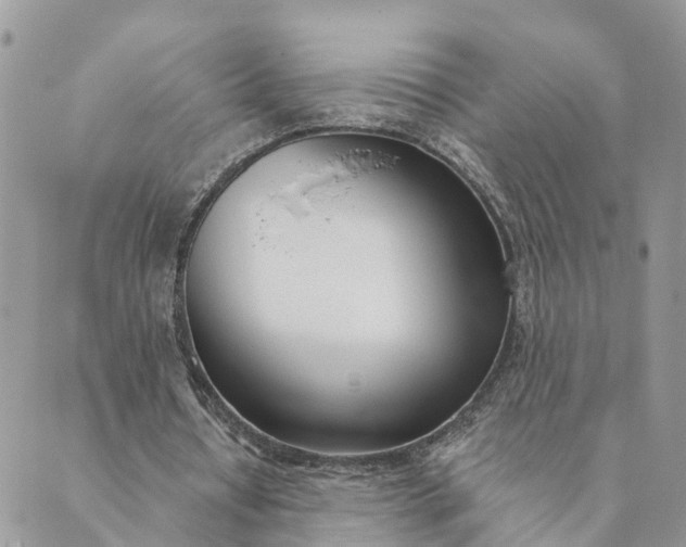 X0000089420434200706291037