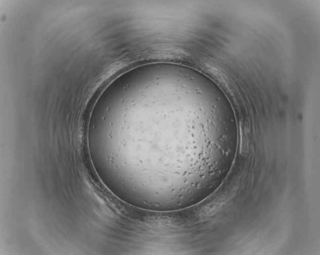 X0000089420435200706291037