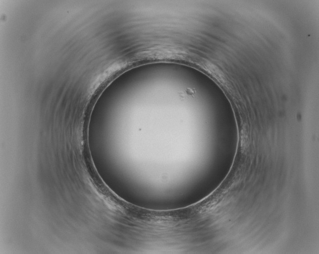 X0000089420438200706291037