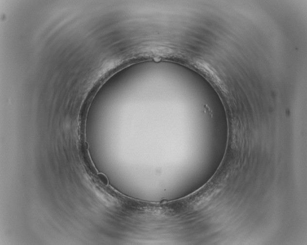 X0000089420439200706291037