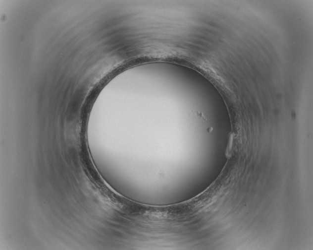 X0000089420440200706291037