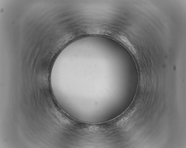 X0000089420441200706291037