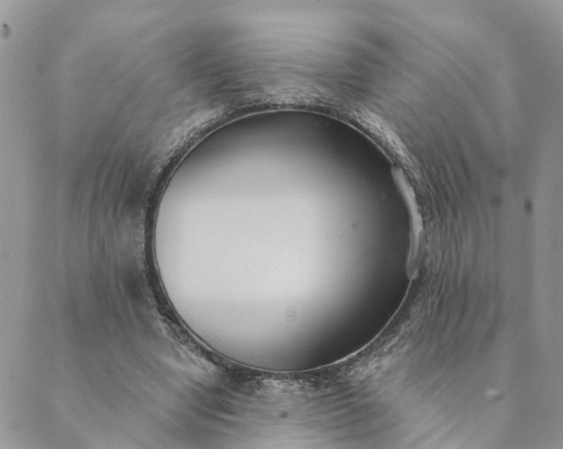 X0000089420442200706291037