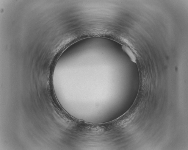 X0000089420443200706291037