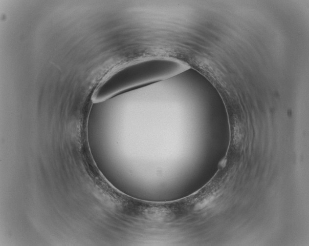 X0000089420444200706291037