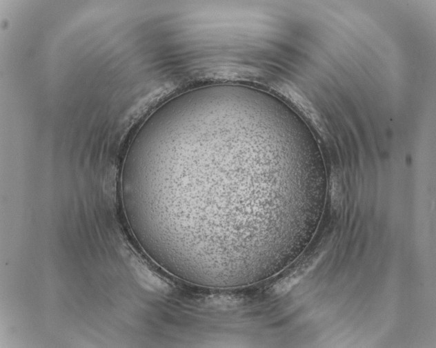 X0000089420445200706291037