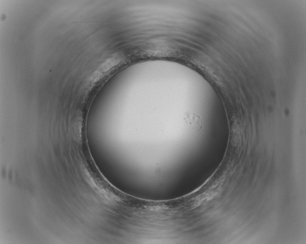 X0000089420446200706291037