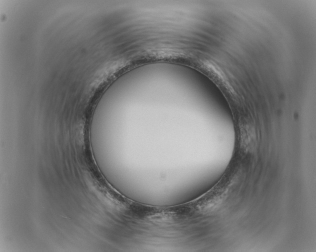 X0000089420447200706291037