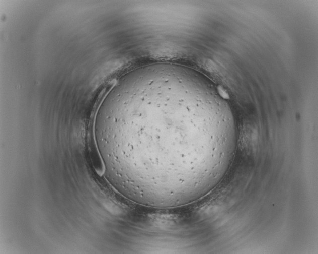 X0000089420448200706291037