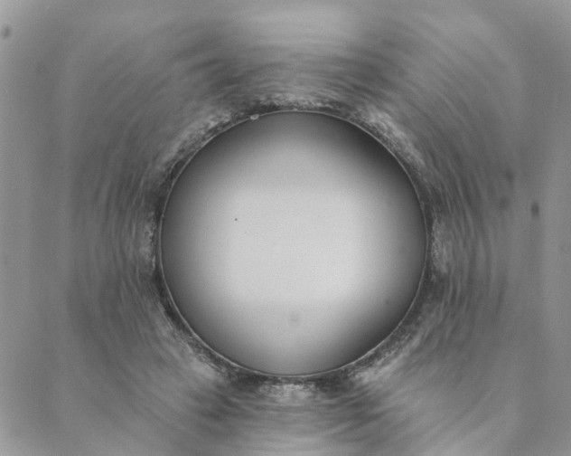 X0000089420449200706291037