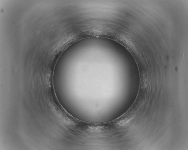 X0000089420450200706291037