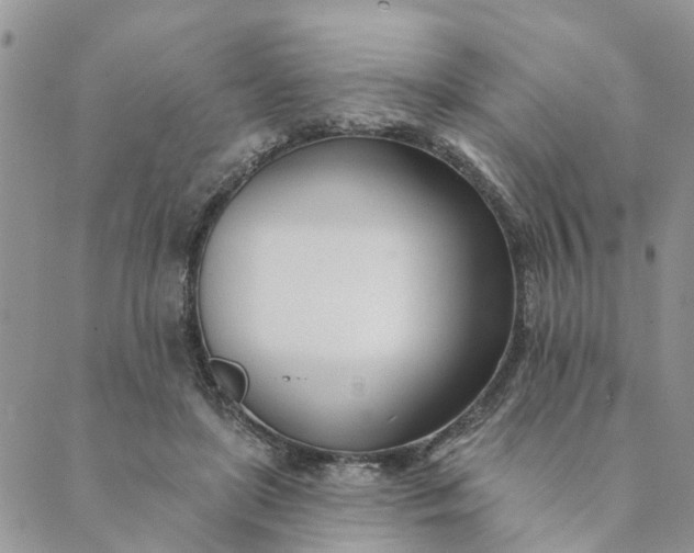 X0000089420451200706291037