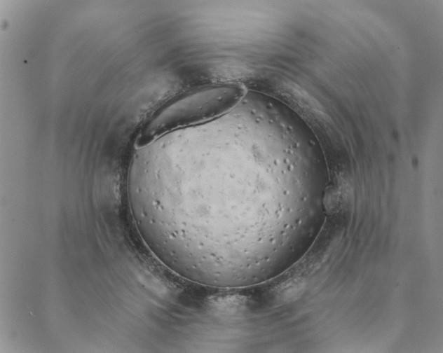 X0000089420452200706291037