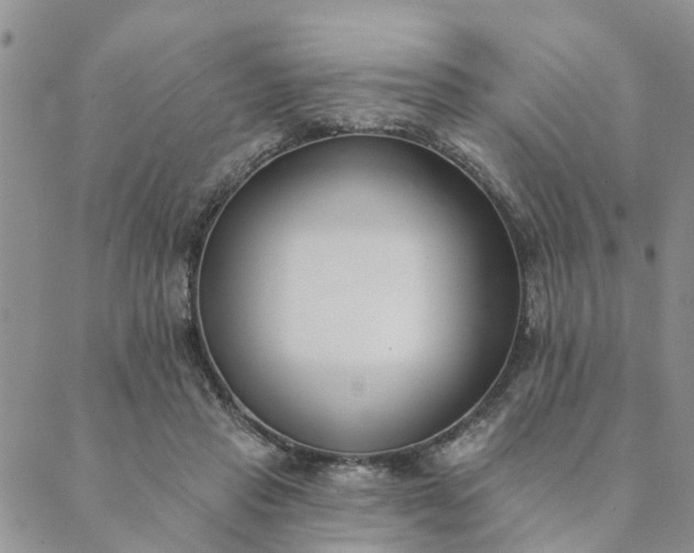 X0000089420453200706291037