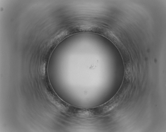 X0000089420454200706291037