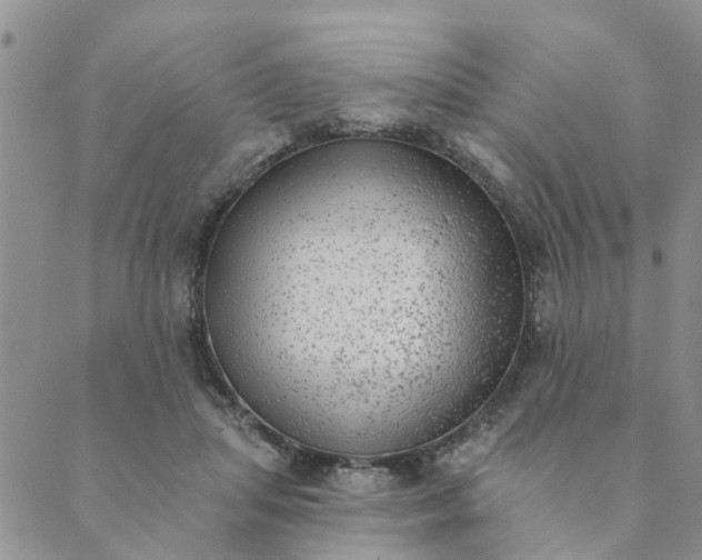 X0000089420455200706291037