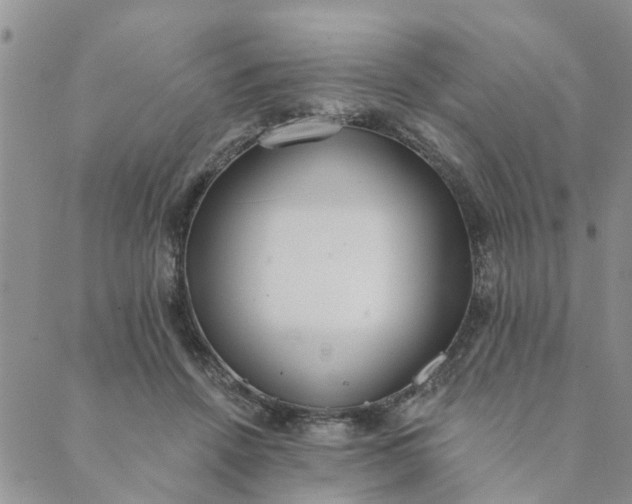 X0000089420456200706291037