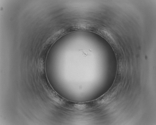 X0000089420457200706291037