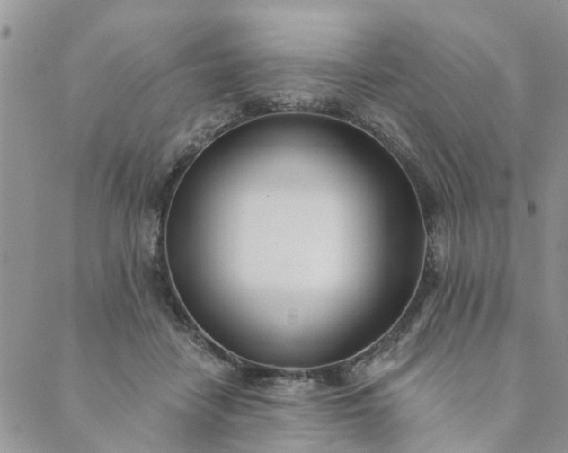 X0000089420458200706291037