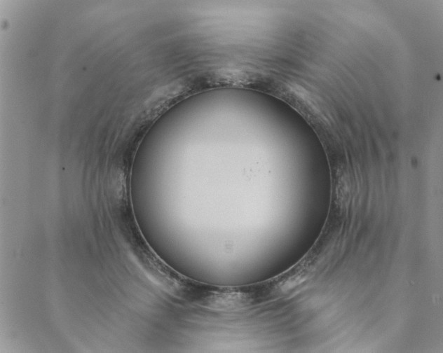 X0000089420459200706291037