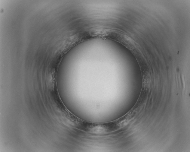 X0000089420460200706291037